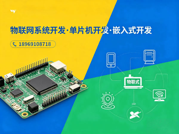 无锡物联网终端开发 | 数据采集系统开发服务指南